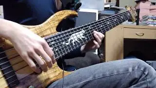 Obscura - Anticosmic Overload - solo on Bass