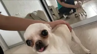 КАСЯ НЕ В ДУХЕ