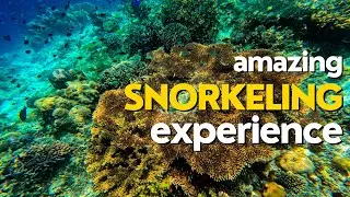 #Exploring the #Underwater #Wonders near #Mataking Island, Sabah | #Snorkeling #Adventure