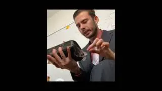 ШТРЕБУХ И СВИНИНА ИЗ ПОМОЕЧКИ...