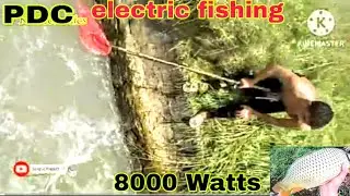 How to Powerful 20 Fat Fishing Machine | Ultrasonic inverter fishing Stunners | PDC SCR Circuit|