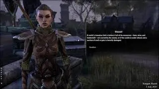 The Elder Scrolls Online (Stadia) - Welcome to Cyrodiil (Aldmeri Dominion)