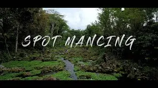 CINEMATIC DRONE VIDEO | SPOT MANCING DI KEBUN SELADA