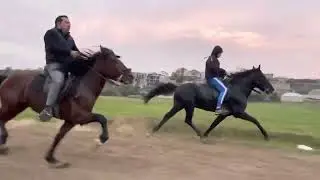 Billur vs Müjdə