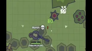 The Legend of the MooMoo.io Ronin