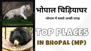 Van Vihaar Bhopal |Chidiya Ghar | Zoo in Bhopal, MP | Top 10 Places in Bhopal to visit | Part 2