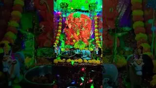 Ganpati Bappa Morya 🙏 #ganpatibappamorya #shorts #youtube #bappa