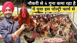 24 साल के युवा का सफल Desi Poultry Farm मॉडल | Desi Murgi Farm Profit | Desi Chicken Business