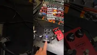 Having fun ReAmping bass tones for an upcoming EP. Loving the ​⁠@ampegtv  Scrambler!