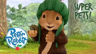‪@OfficialPeterRabbit‬