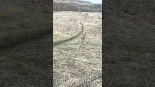 на 3 в гору