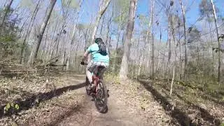 2019 GT Agressor Pro ride