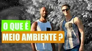 O que é meio ambiente?