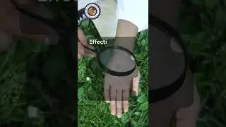 Science Education