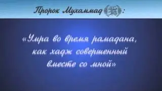 hikmet travel 2014 HD