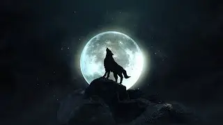 Трейлер к каналу "Студия Шура" (Adobe After Effects, Element 3D)
