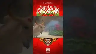 BOI GARANTIDO 2024 - SINHAZINHA DA FAZENDA VALENTINA COIMBRA