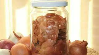 Луковая шелуха: 5 способов использования, шелуха из лука, удобрение шелухой, шелуха от вредителей