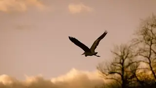 Schnelle RAW Foto Auswahl mit Fastrawviewer