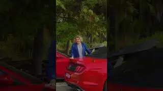 Номер Лены +995557223384 Город будущего на побережье Грузии в Чакви