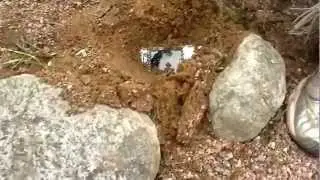 Rikotaan nokia puhelin