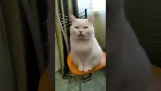 Нахрена мне эта стройность 🙈🙈😄