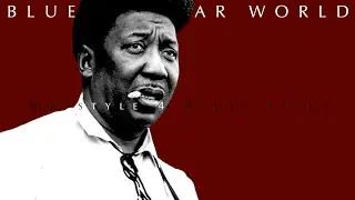 4 Blues Licks of Muddy Waters | Guitar Lesson