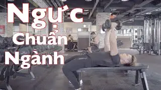 Bài Tập Ngực Giúp Ngực Chuẩn Ngành Hơn | Cách Giúp Bạn Ép Ngực Cảm Nhận Tốt Nhất