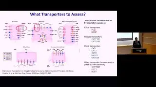 PSPG Seminar: Regulatory Science on Transporter-Mediated Drug-Drug Interactions