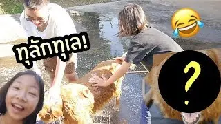 การอาบนำ้ให้หมาไม่ง่ายอย่างที่คิด [ฮานำ้ตาเล็ด] feat.PrairrandPleng|PunnWinandWeir