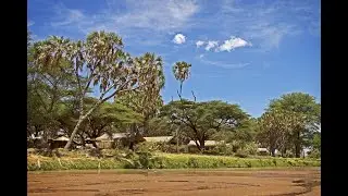 Connoisseur Signature Safari, Kenya