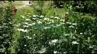 Ассалому алайкум ва рахматуллоху ва баракатух