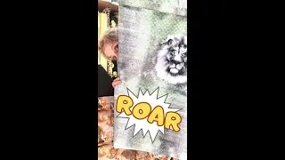 Im Sternzeichen des Löwen 🦁 | Mini Update