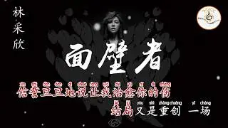 面壁者 林采欣 拼音字体 ktv 卡拉ok字幕
