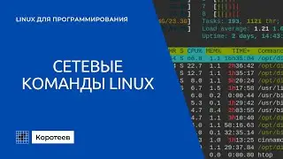 LX9.1 Сетевые команды Linux