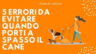 5 ERRORI da EVITARE quando PORTI IL CANE A SPASSO