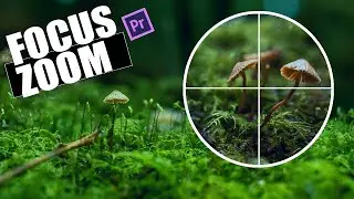 Zoom into Different Parts of Video in Adobe 