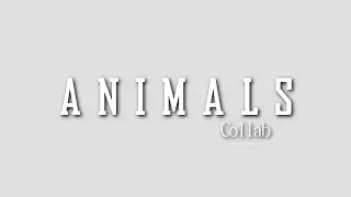 ►ANIMALS | TVD vs. TW