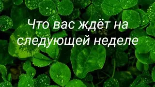 Что вас ждёт на следующей неделе
