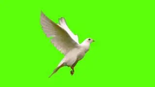 #HD