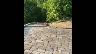 Милота 🐿️ Київ 💛💙