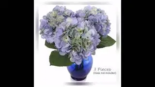 Hydrangea (Set of 10)
