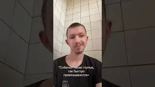 Да єто я