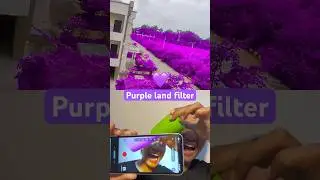Purple land filter 😂