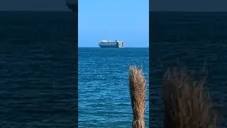 Roll on Roll off Car Carrier