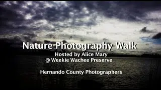Nature Photography Walk @ Weeki Wachee Preserve