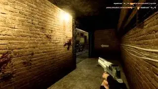 професиональная игра в cs