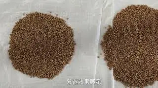 AMD wheat sorting machine with ultra-large output and four-dimensional deep learning technology