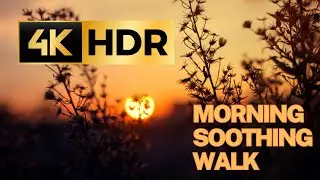Morning Soothing Walk 2023 4K - HDR 🇫🇷