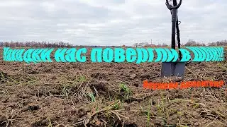 Находки нас повергли в шок! Неужели поселение ДОМОНГОЛ? 